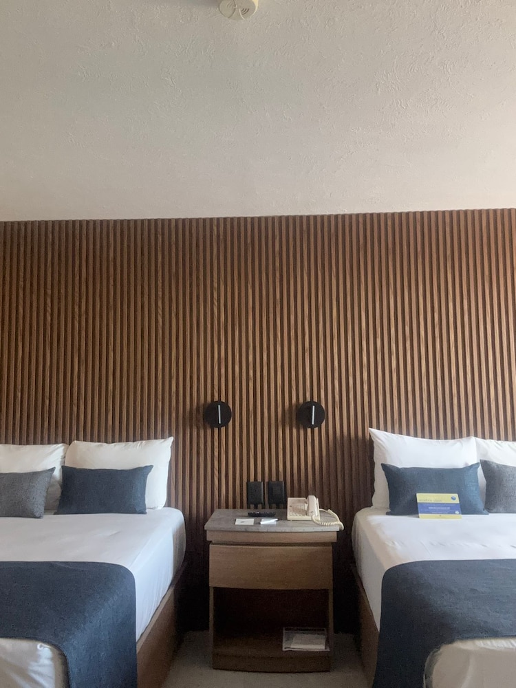 Comfort Double Room photo 3