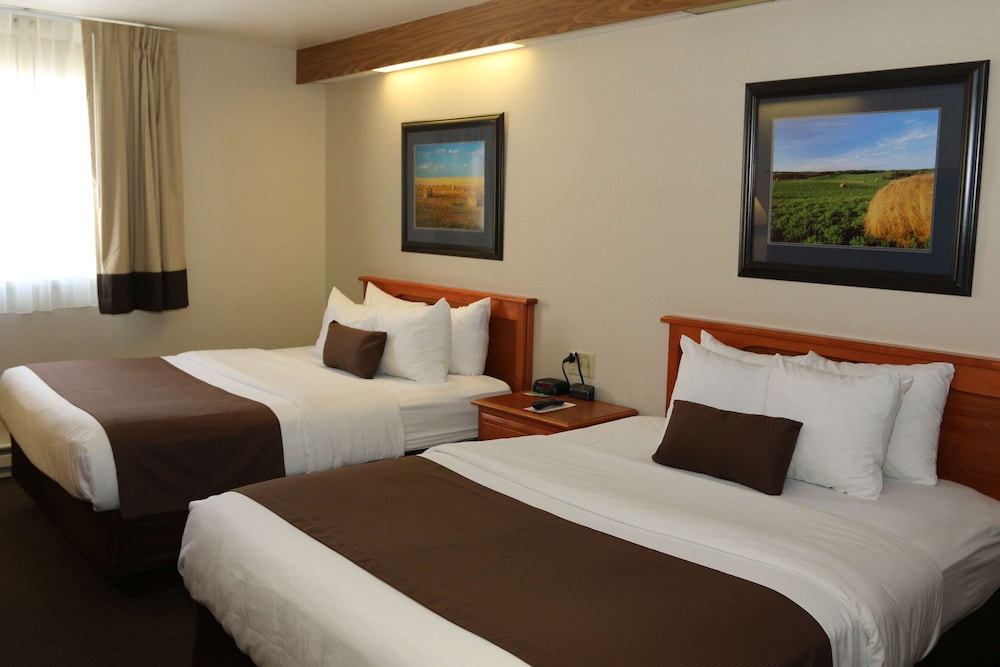 Standard Room, 2 Queen Beds, Non Smoking, Refrigerator & Microwave