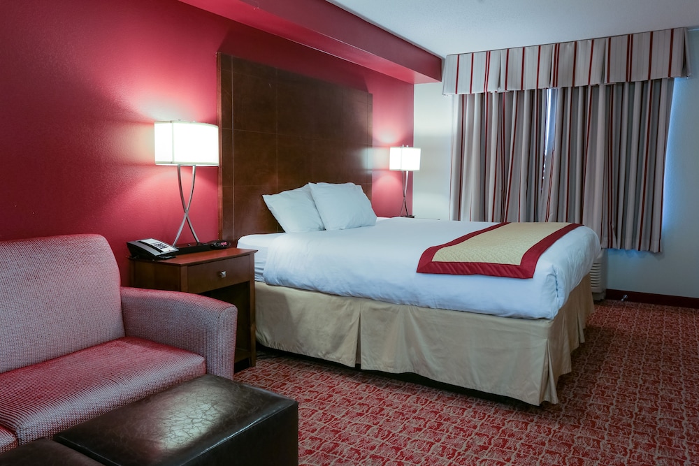 Suite, 1 King Bed photo 1