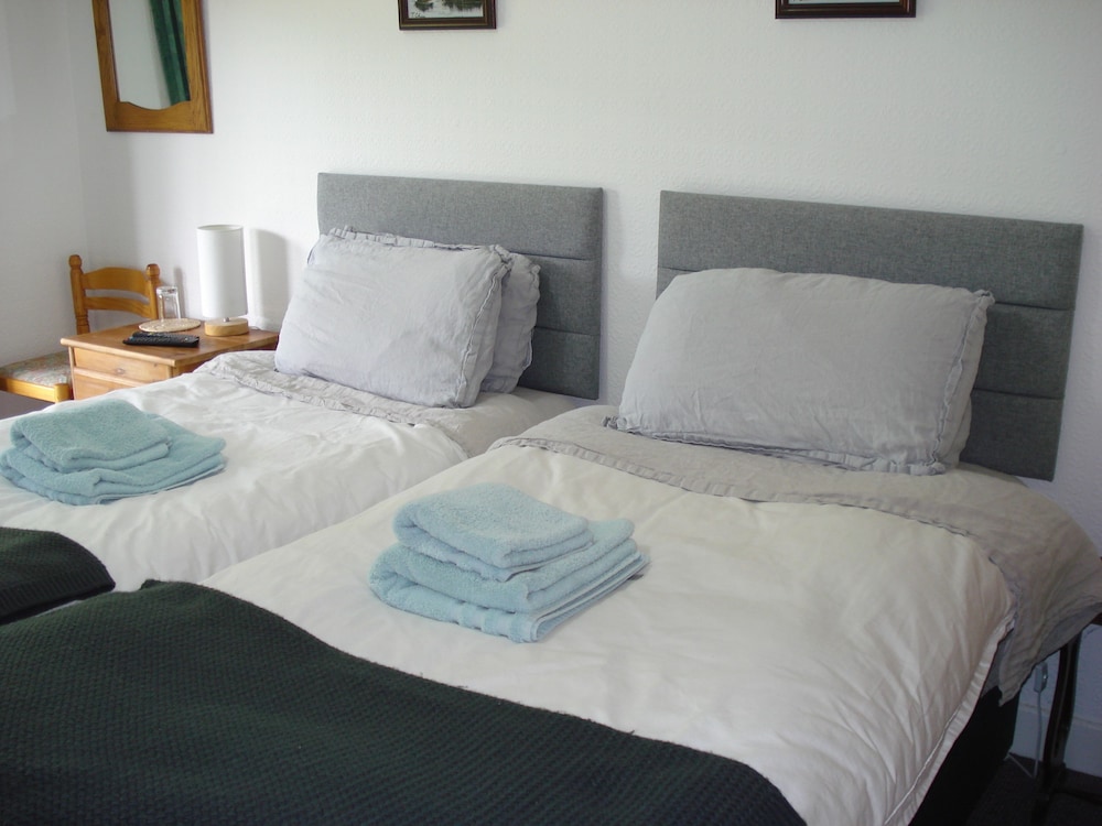 Panoramic Twin Room, 2 Twin Beds, Mountain View photo 1