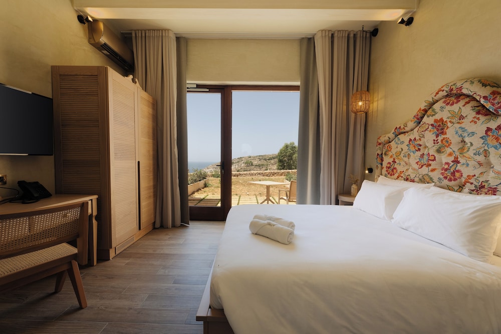 Deluxe Double or Twin Room photo 3