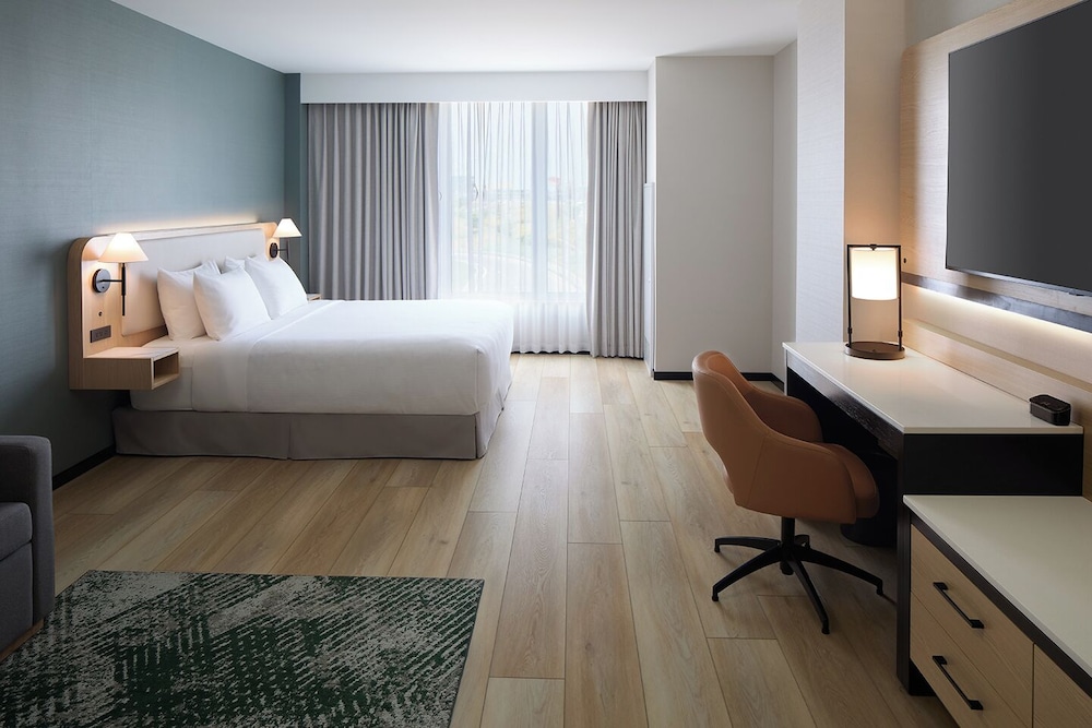 Room, 1 King Bed with Sofa bed, Accessible Bathtub (Specialty)
