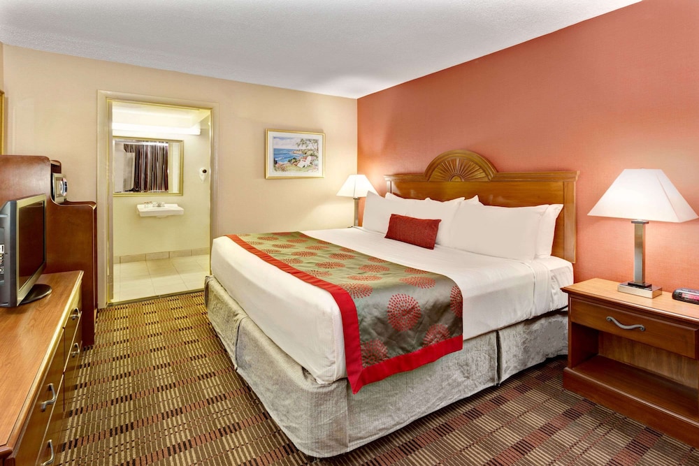 Room, 1 King Bed, Accessible photo 1