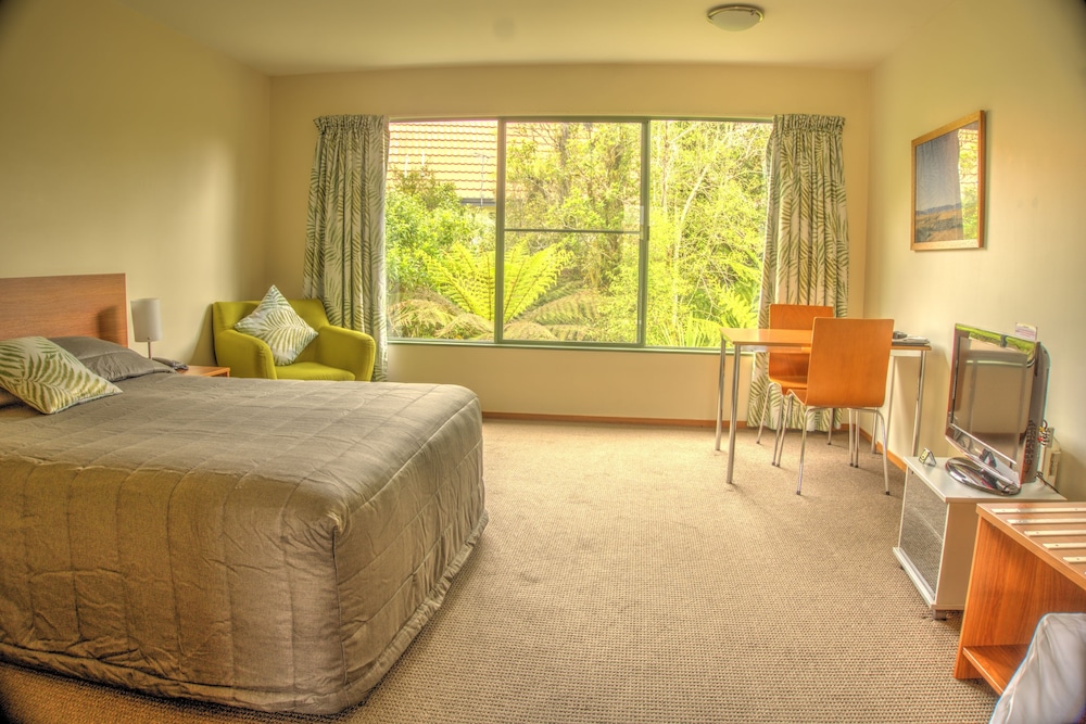 Studio, 1 Queen Bed photo 1