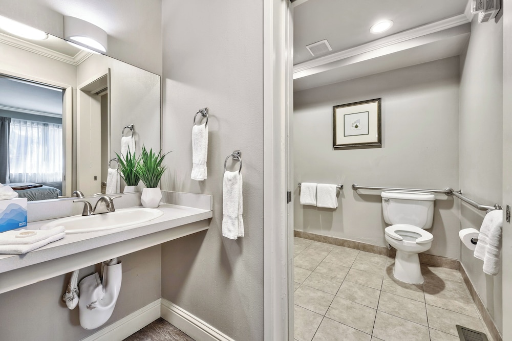 Deluxe Suite, 1 Bedroom (ADA) - Photo 9