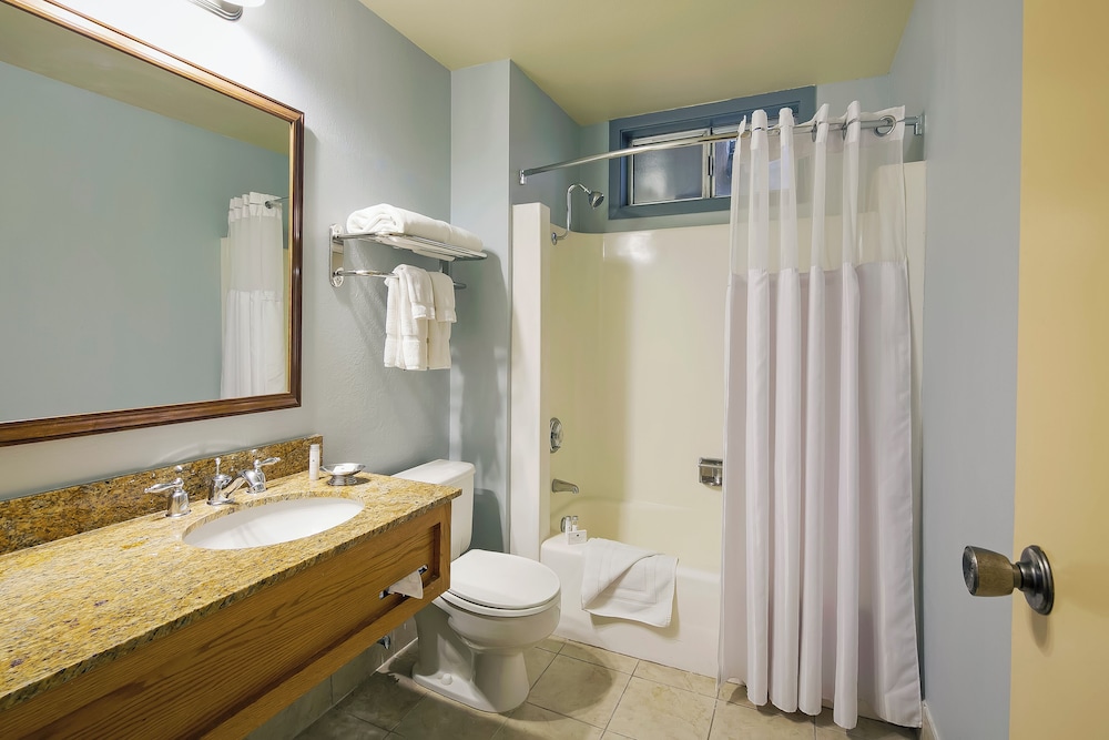 Condo, 1 Bedroom (One Bedroom with Loft Condominium) - Photo 4