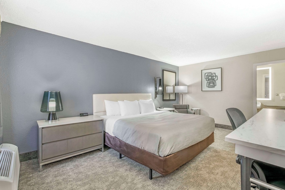 Standard Room, 1 King Bed, Non Smoking - Photo 1