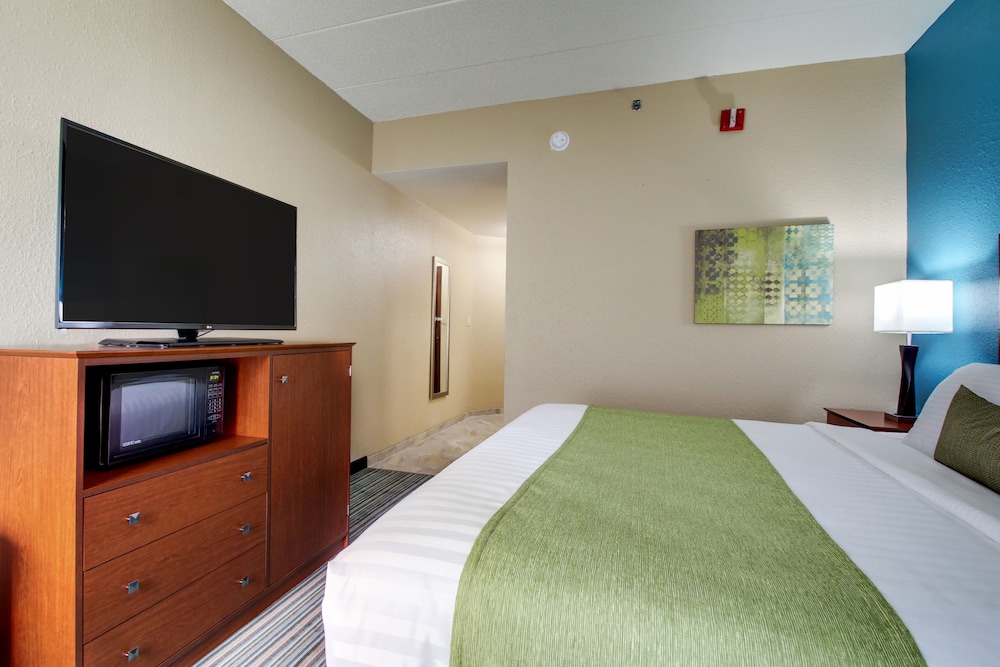 Standard Room, 1 King Bed, Accessible, Non Smoking - Photo 3