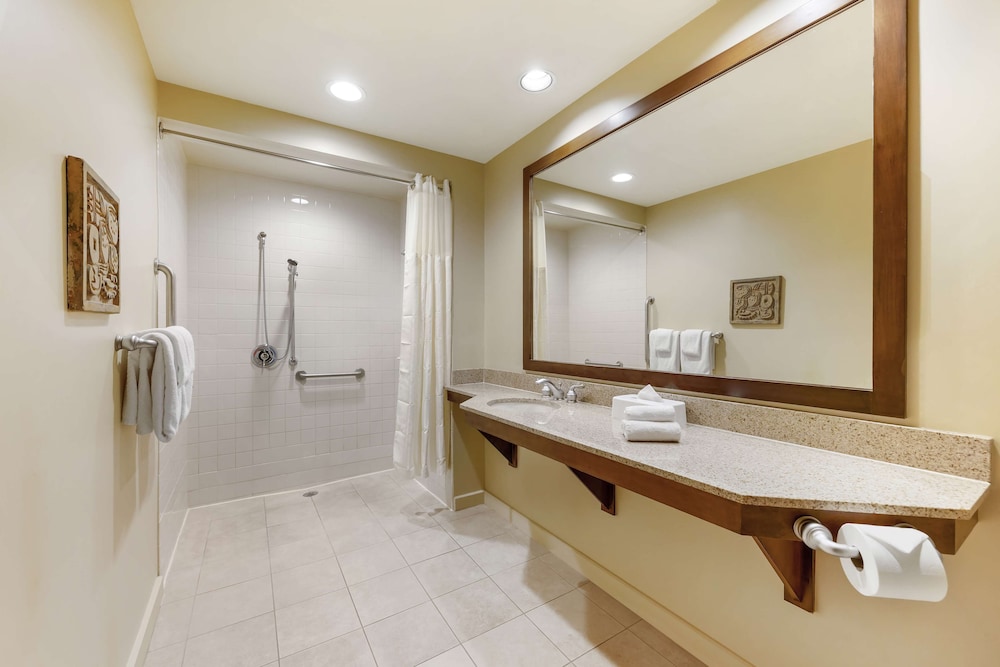 1 Bedroom 1 King Suite With Roll in Shower - Photo 6