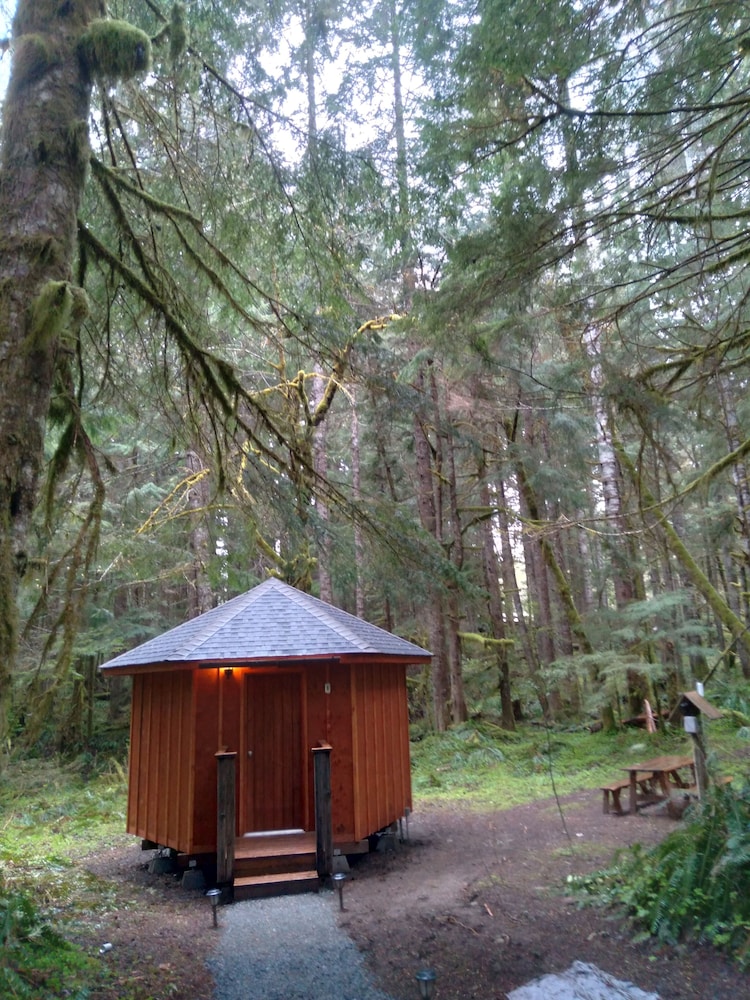 Yurt in the woods (Shared shower, Pet Friendly) photo 1
