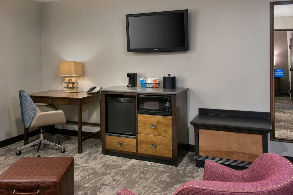 Suite, 1 King Bed, Refrigerator & Microwave photo 1
