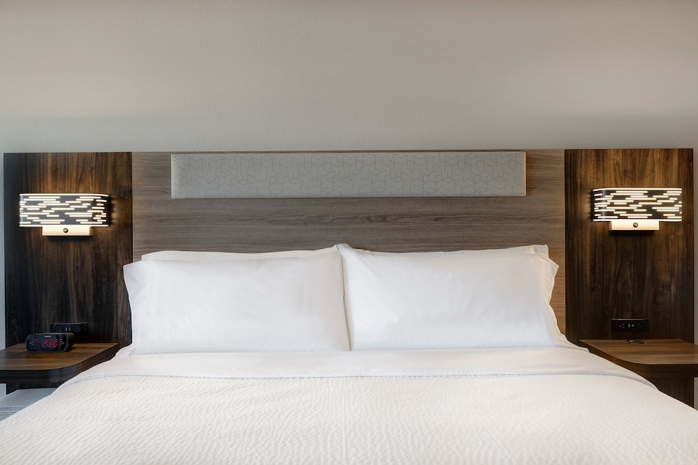 Suite, 1 King Bed photo 2