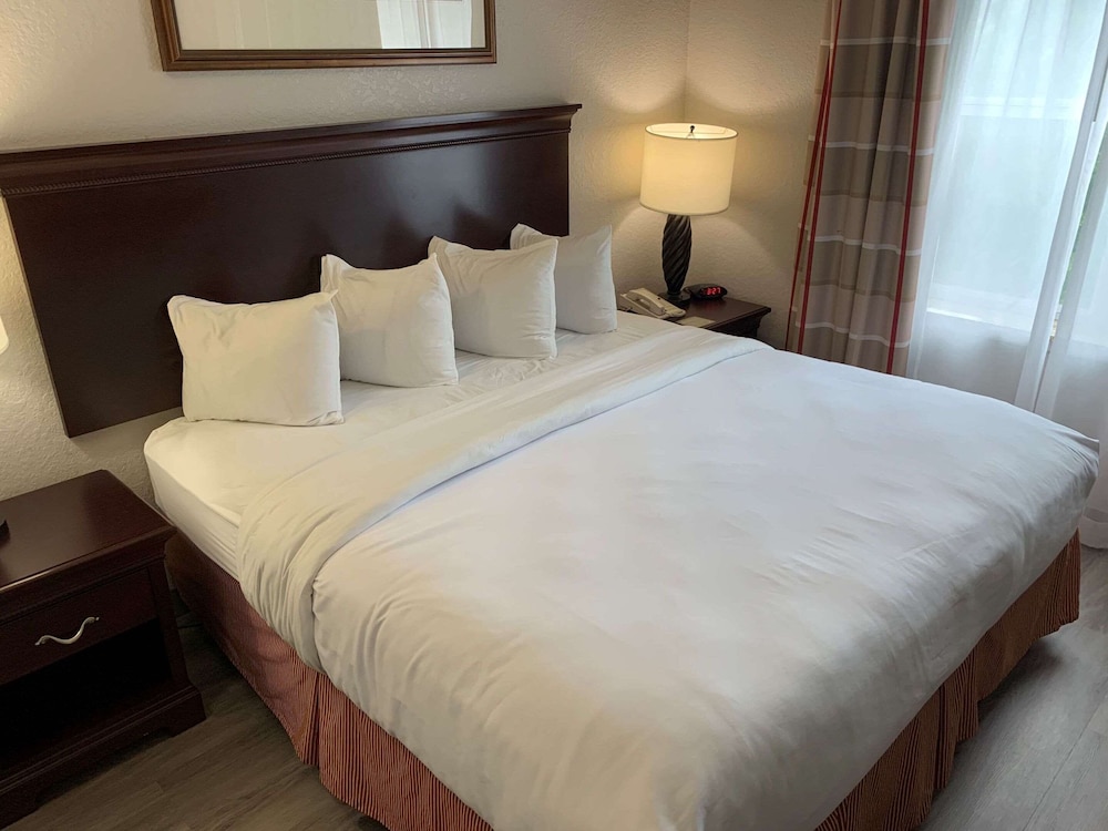 Room, 1 King Bed, Non Smoking - Photo 1