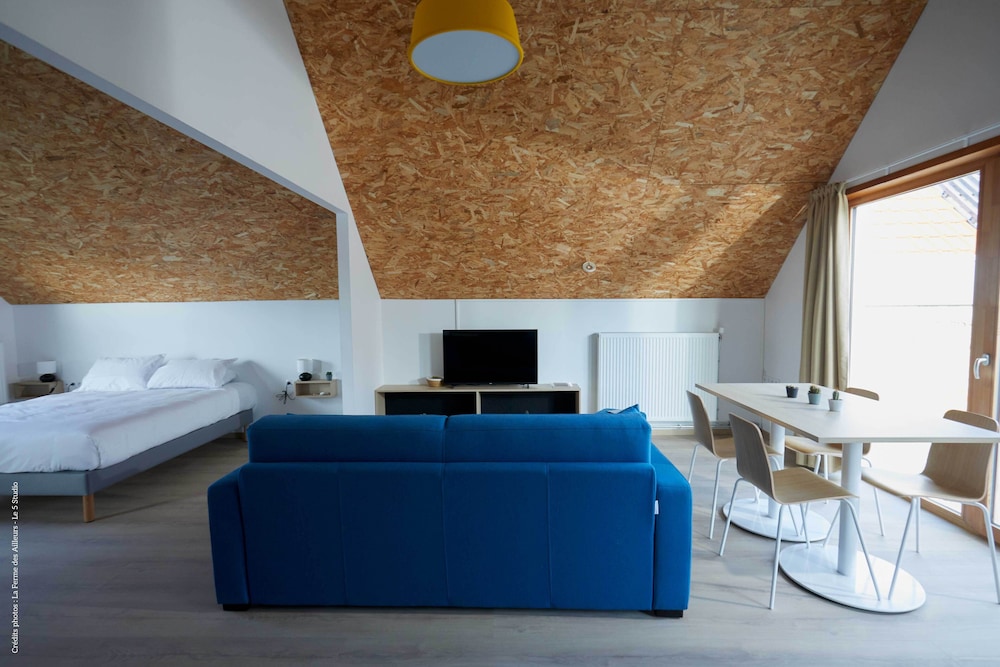 Comfort Studio, 1 Queen Bed with Sofa bed