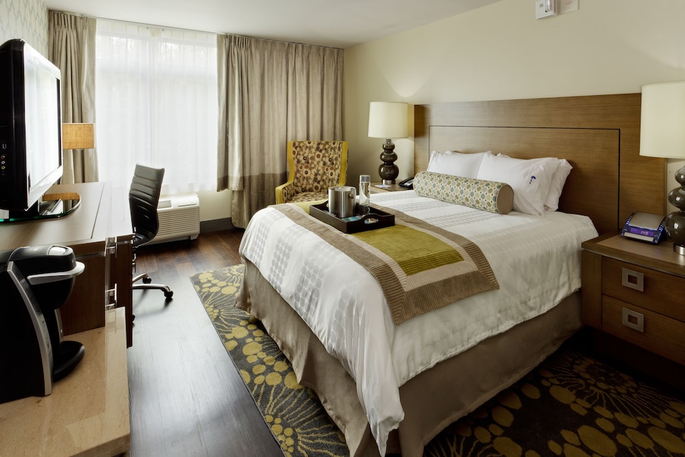 Standard Room, 1 King Bed, Roll-in Shower (Communications Accessible) - Photo 2