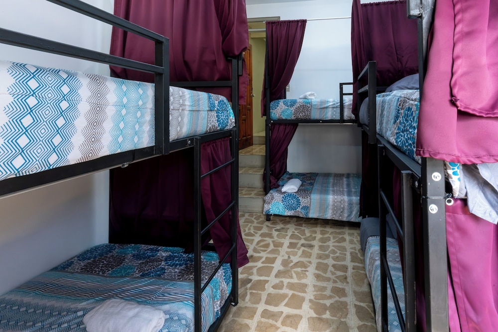 Basic Shared Dormitory photo 1