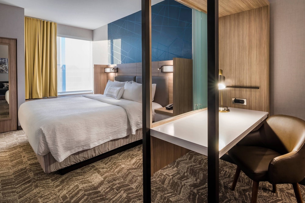 Suite, 1 King Bed (Hearing Accessible) photo 3