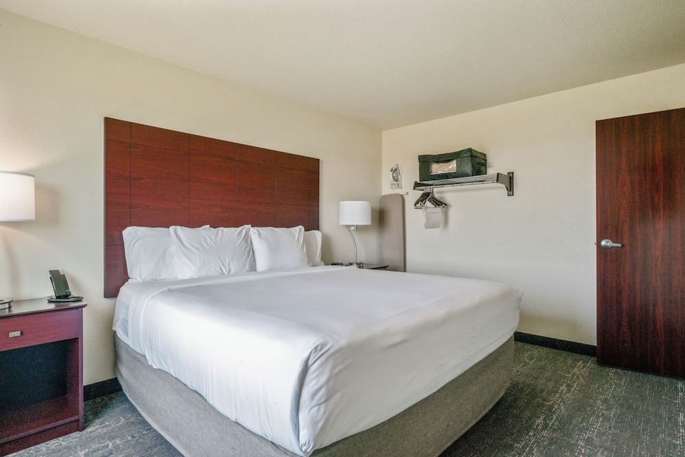 Suite, 1 King Bed with Sofa bed, Non Smoking (Extended Stay) - Photo 10