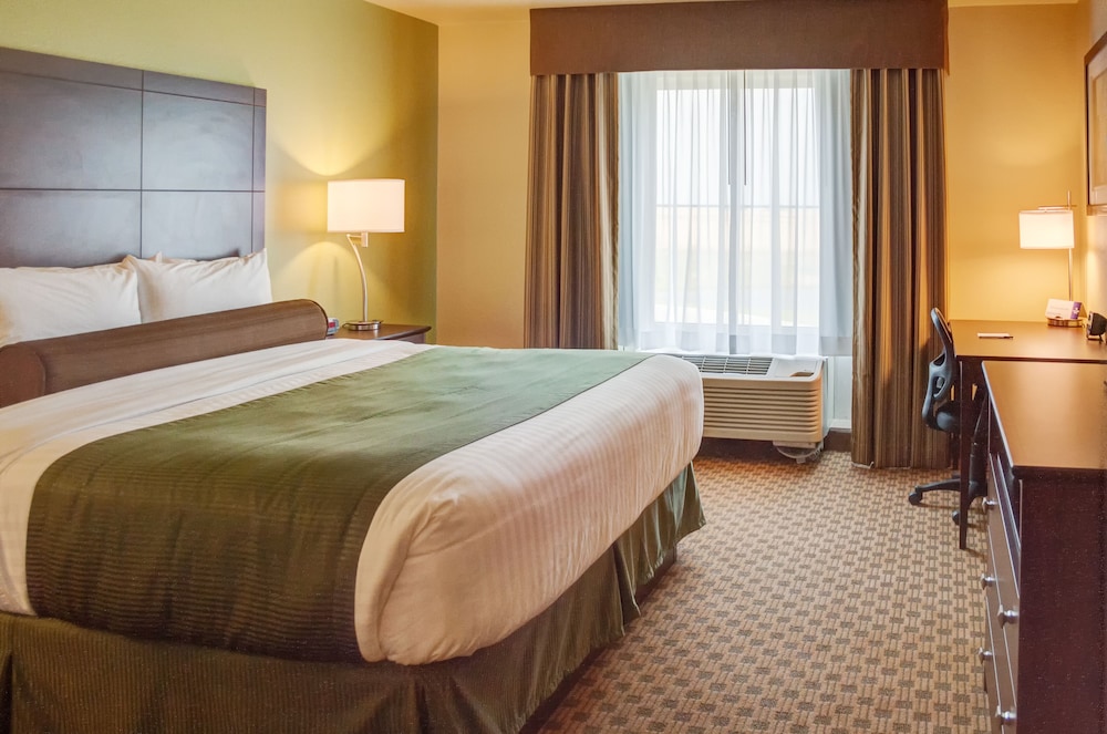 Room, 1 King Bed, Non Smoking