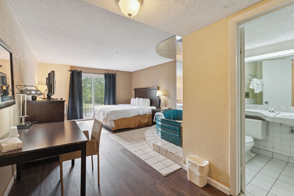 Exclusive Room, 1 King Bed photo 3