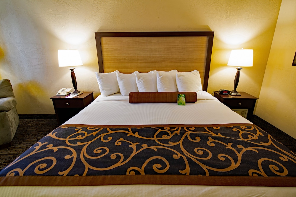 Standard Room, 1 King Bed, Accessible, Non Smoking photo 3