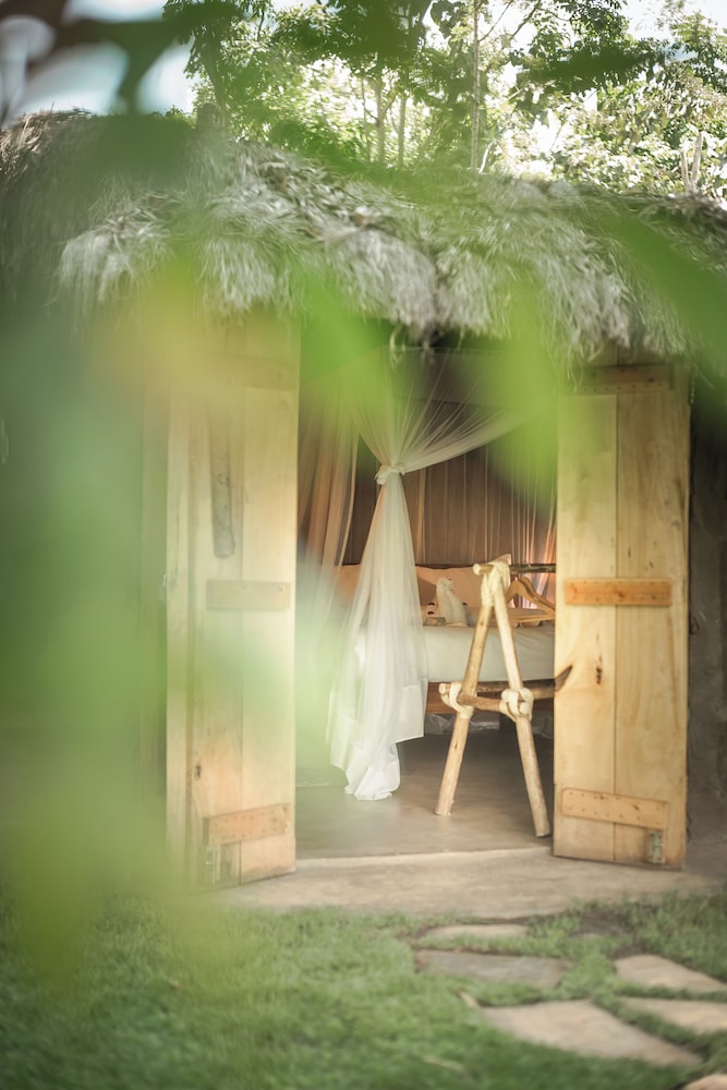 Comfort Single Room