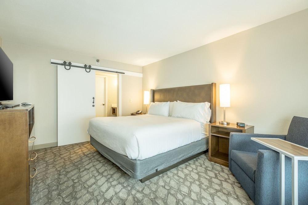 Suite, 1 Bedroom photo 2