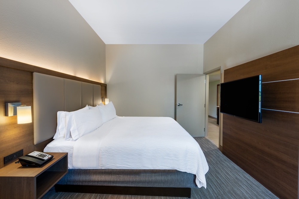 Suite, 1 King Bed, Accessible (Communication, Mobil Roll-In Shower) - Photo 4