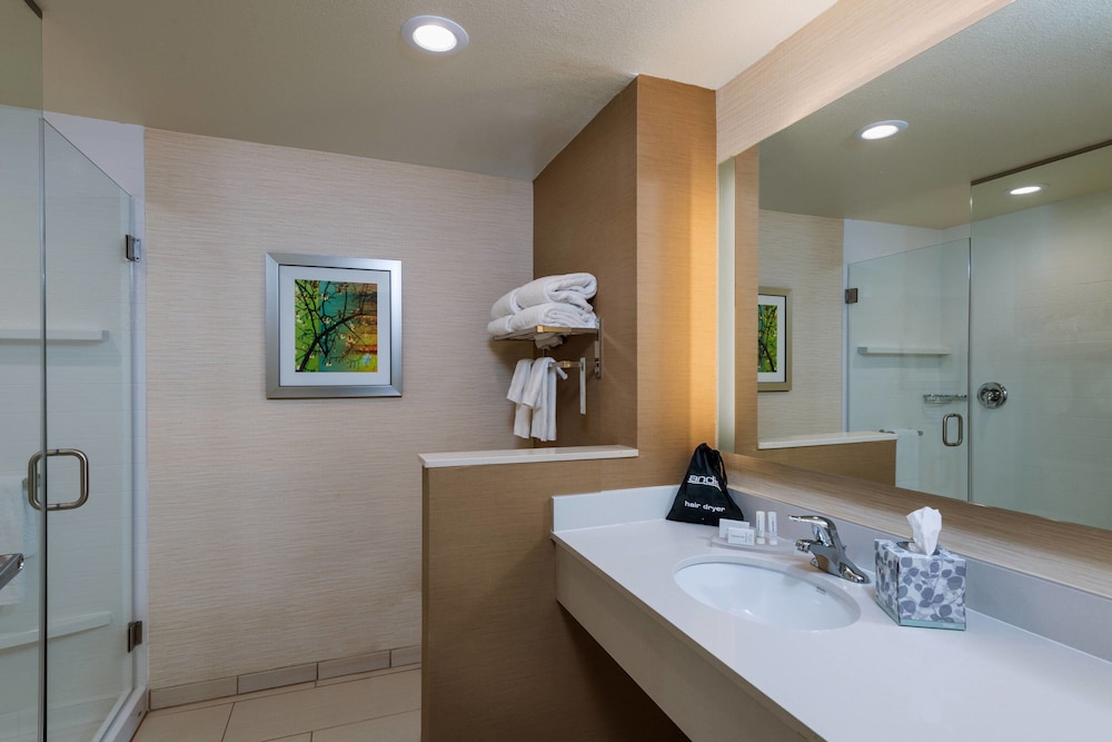 Room, 1 King Bed (Hearing Accessible)