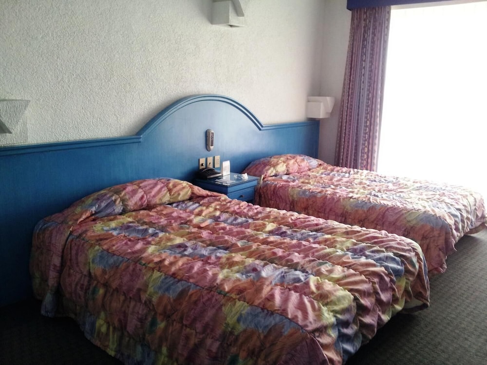 Comfort Double Room photo 2