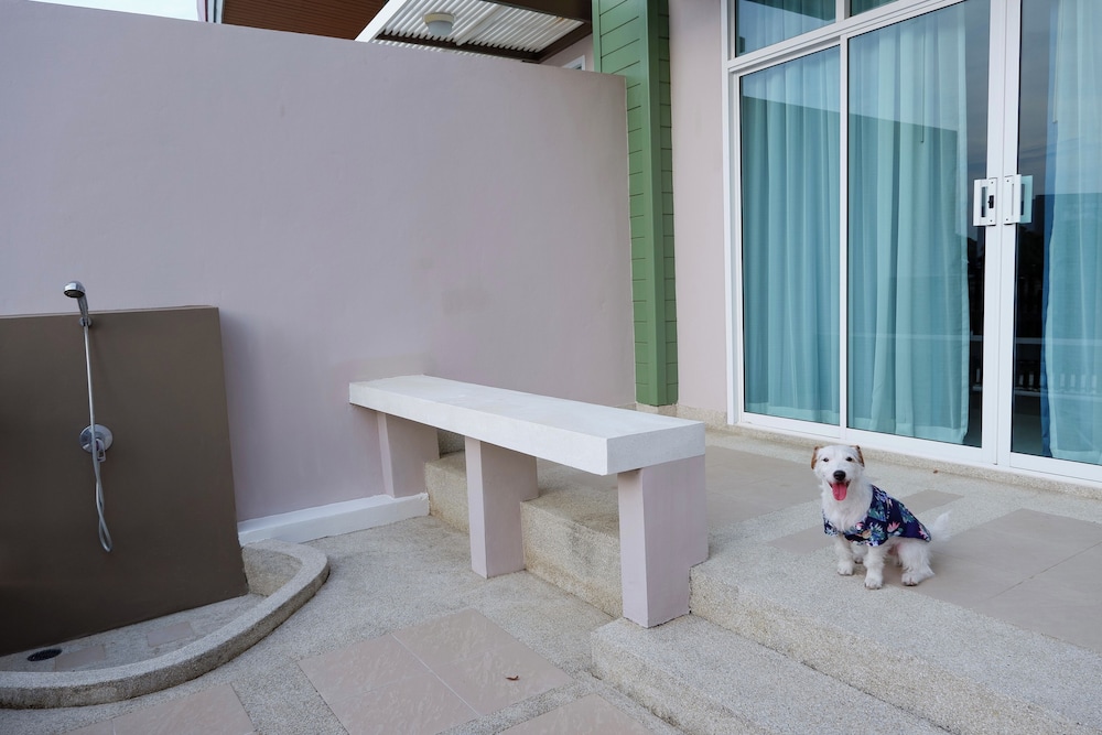 Kaset Paws Pet Friendly - Photo 3