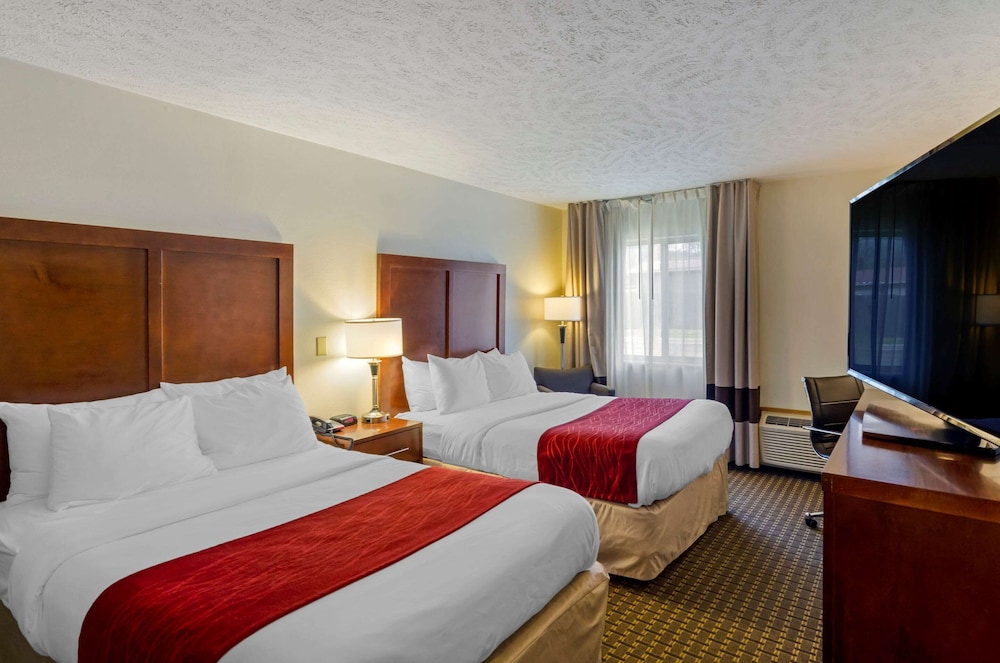 Room, 2 Twin Beds, Non Smoking (Pet Friendly) photo 1