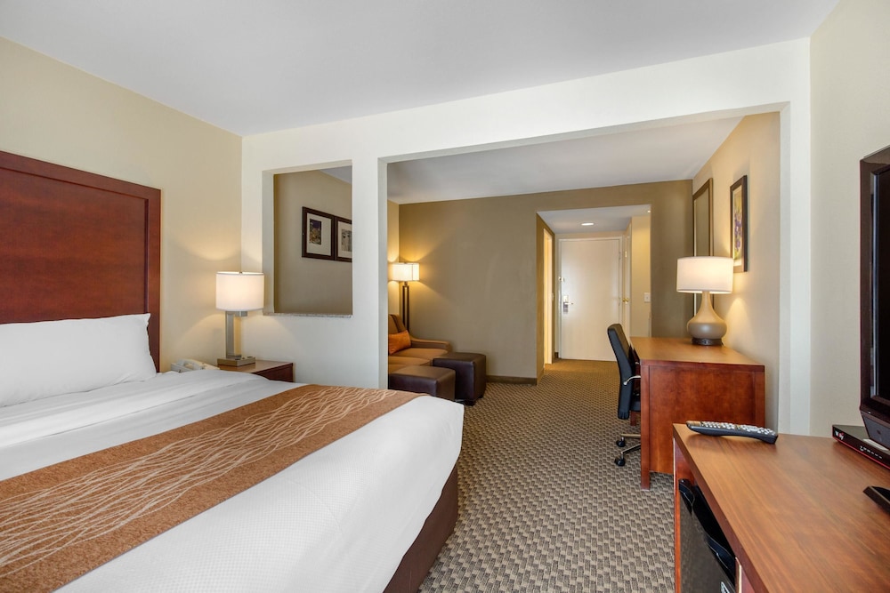 Suite, 1 King Bed, Non Smoking - Photo 8