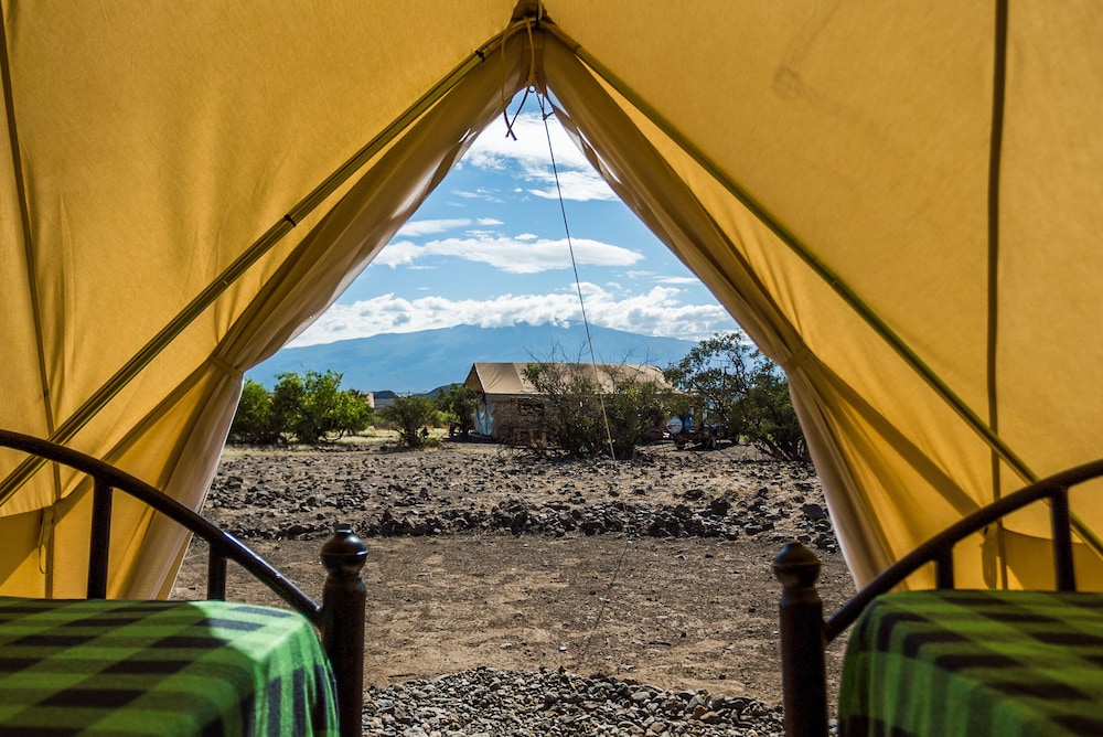 Basic Tent photo 2