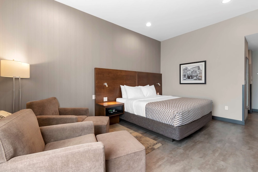 Standard Room, 1 King Bed, Non Smoking (Shower Only)