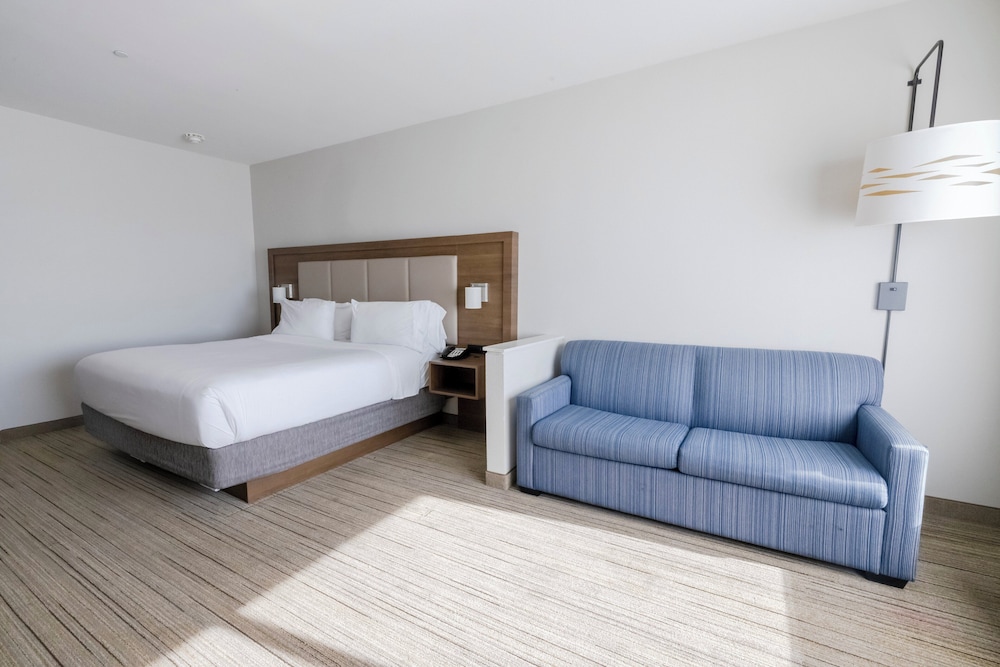 Suite, 1 King Bed photo 2