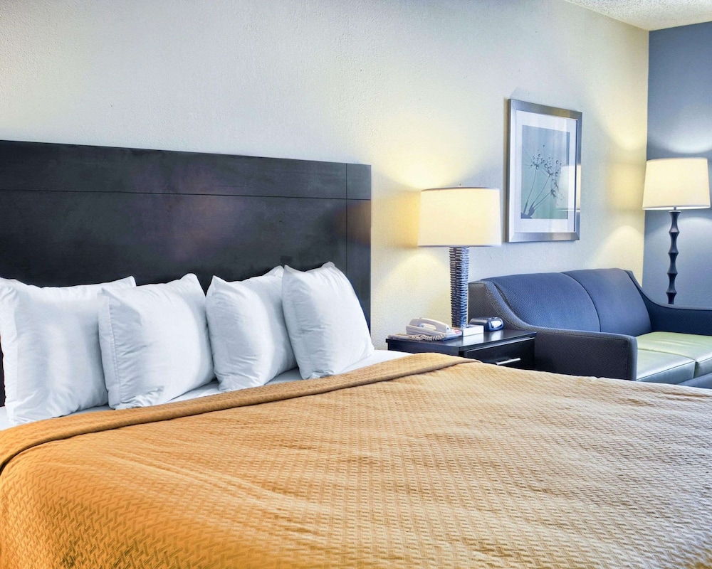 Standard Room, 1 King Bed, Smoking - Photo 3