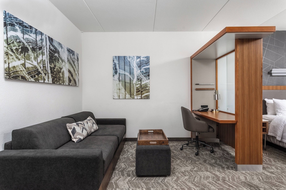 Studio, 1 King Bed with Sofa bed (Mobility Accessible, Tub) - Photo 4