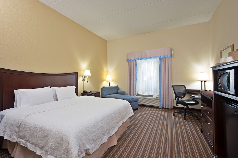 Room, 1 King Bed, Accessible, Non Smoking (Mobility & Hearing, Roll-in Shower) - Photo 2