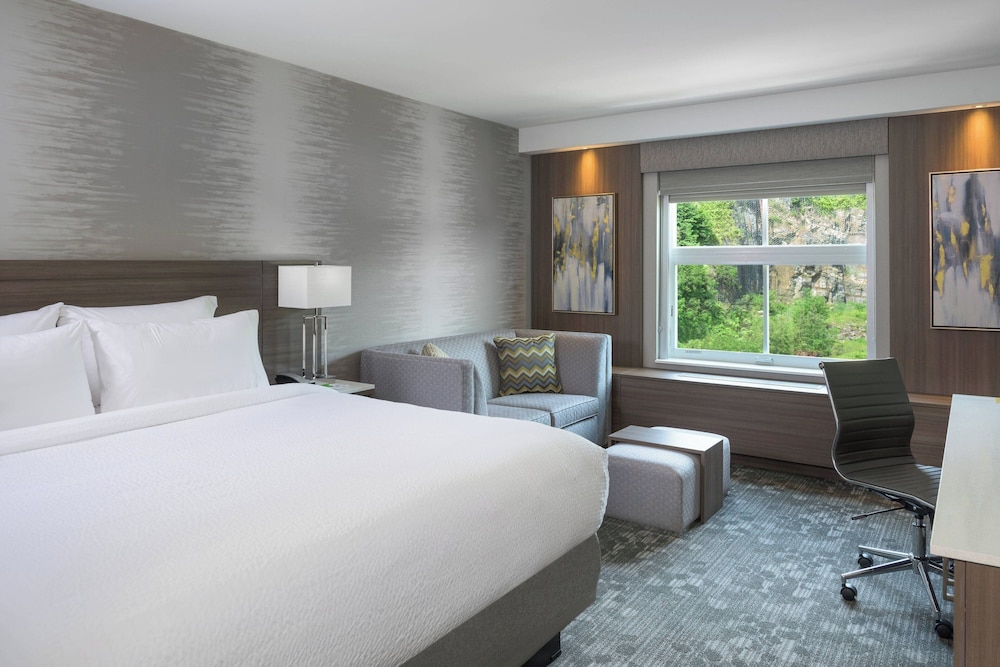 Room, 1 King Bed with Sofa bed