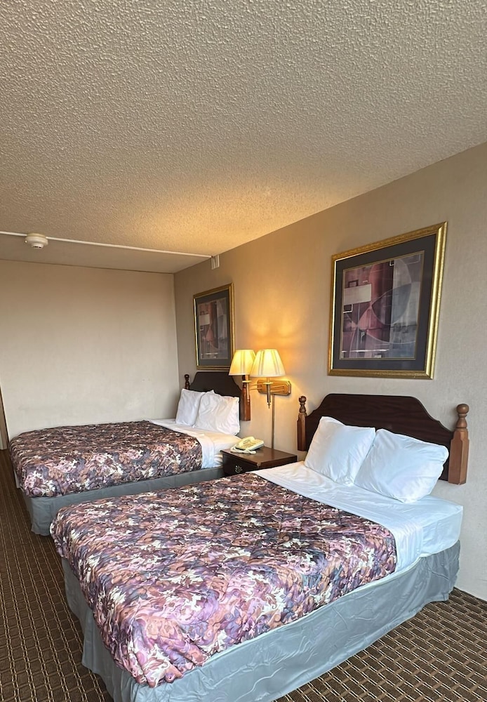 Basic Double or Twin Room