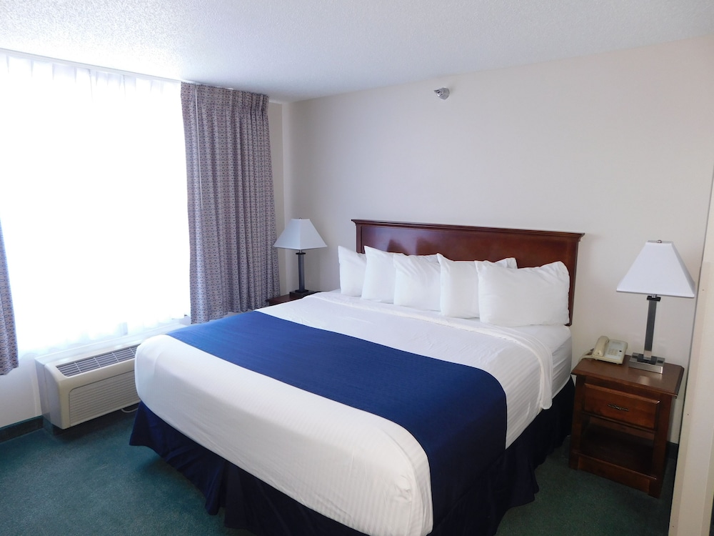 Single King Bed-Suite With pull out sofa - Non-Smoking photo 3