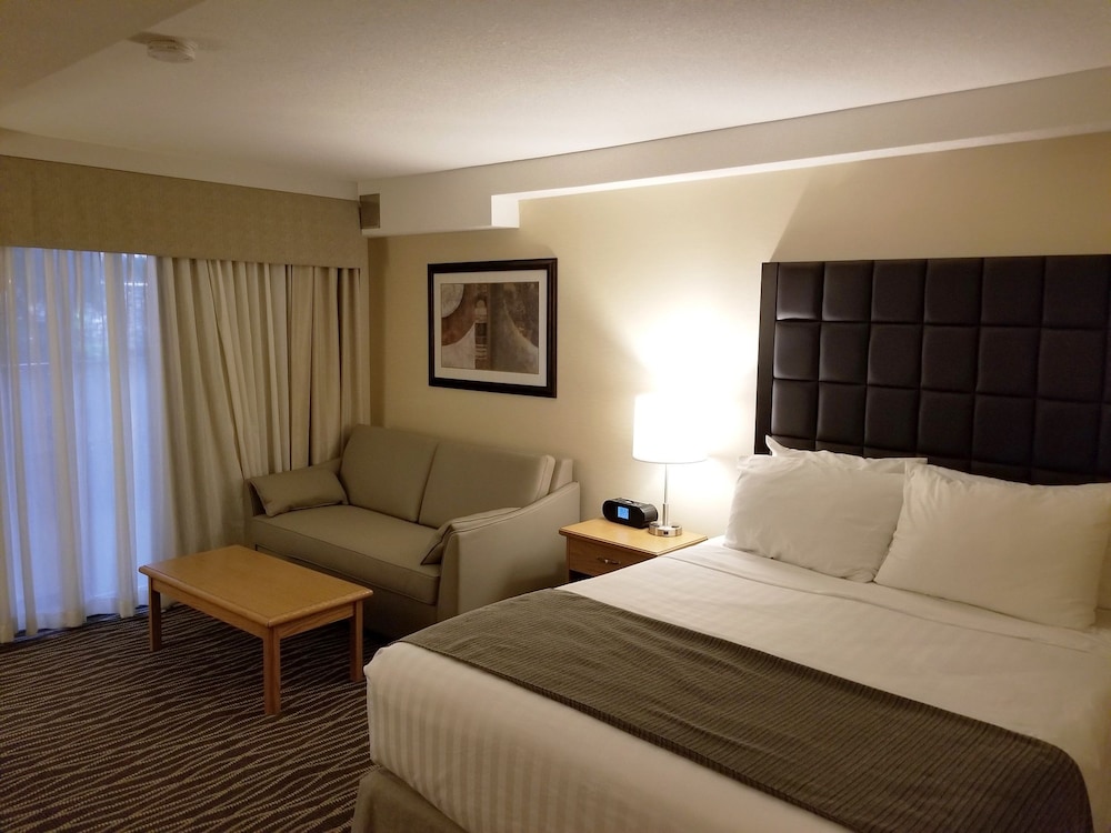 Room, 1 Queen Bed with Sofa bed, Accessible - Photo 3