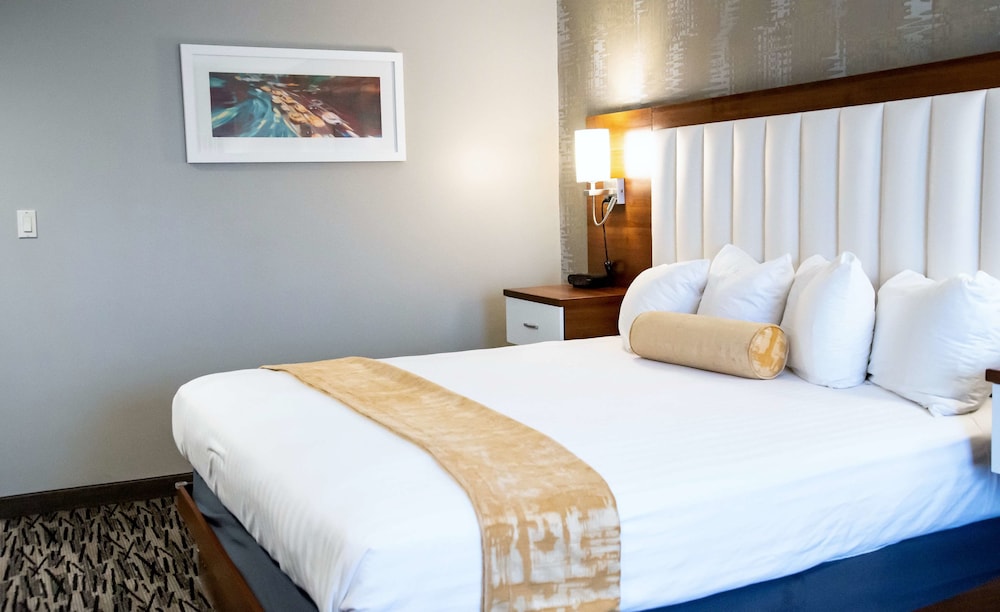 Standard Room, 1 King Bed, Non Smoking (Walk-in Shower) photo 2