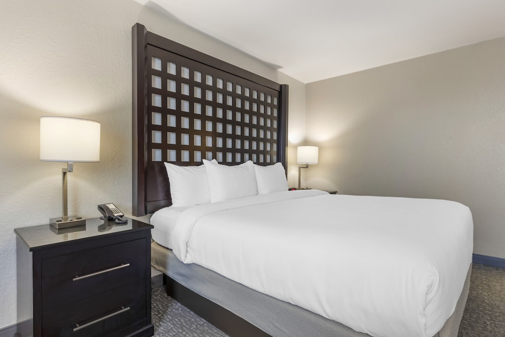 Standard Room, 1 King Bed, Non Smoking - Photo 5