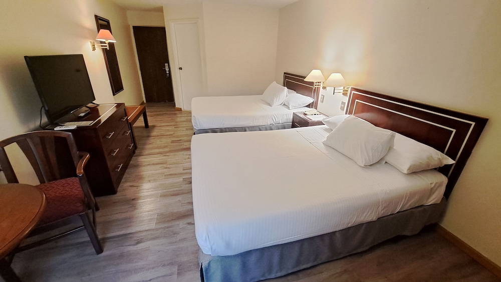 Double or Twin Room photo 3