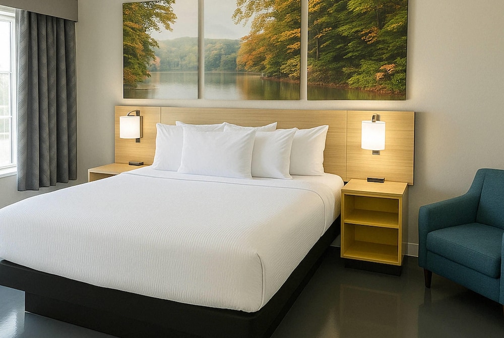 Room, 1 King Bed, Mobility Accessible, Non Smoking (Bathtub w/ Grab Bars) - Photo 1
