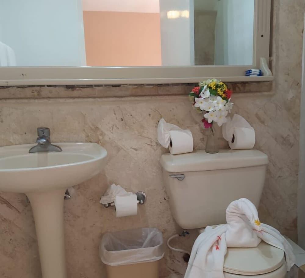 Exclusive Single Room, 1 King Bed photo 2