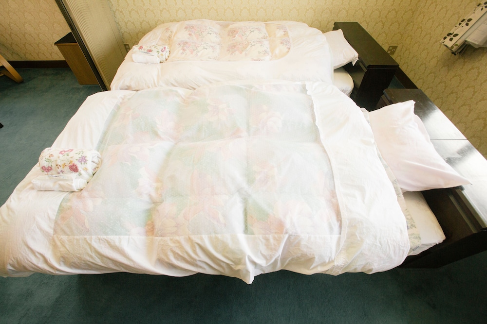 Twin Room photo 3
