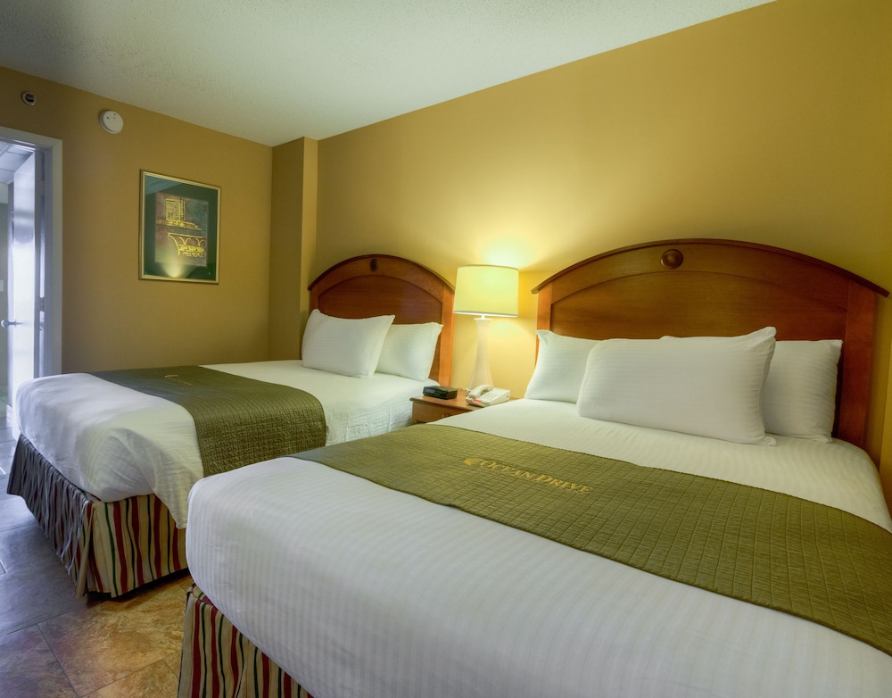Suite, Oceanfront photo 1